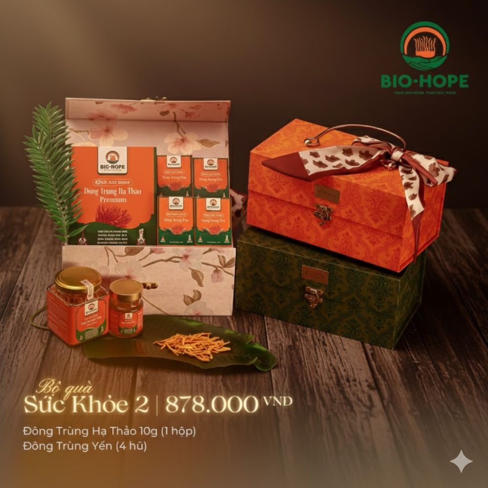 Lợi ích sức khỏe và ý nghĩa biếu tặng của Bộ Quà Sức Khỏe 2 – Quà Tết 2026